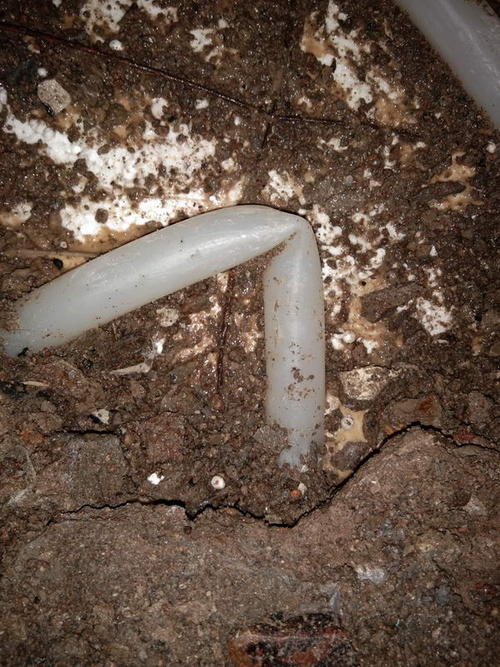 柳城堵点精准查找